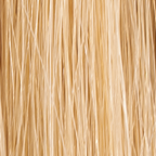 Natural Light Brown #12