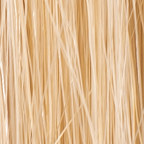 Light Brown Ash-colored #14