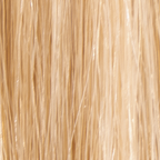 Sandy Blonde #16