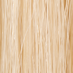 Platinum Blonde #999