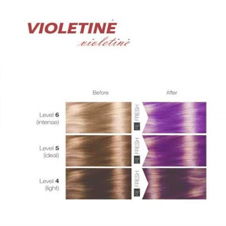 Re fresh color mask – violet, 250ml
